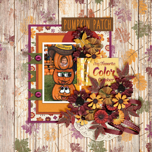 Pumpkin-Patch4