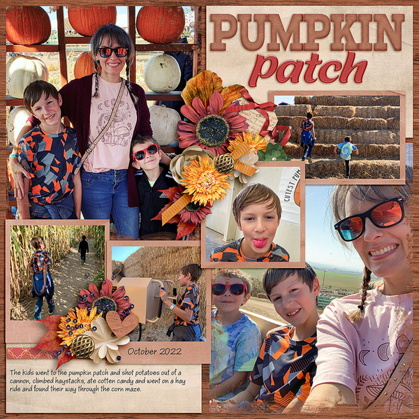Pumpkin-Patch_1000