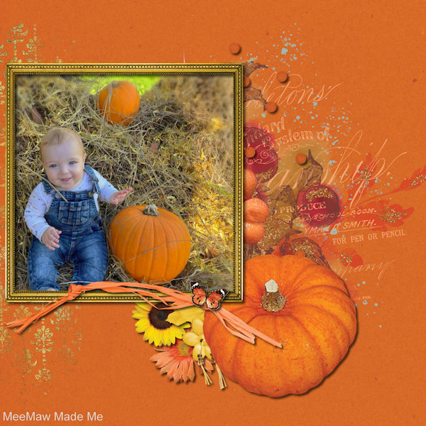 Pumpkin Photo Shoot