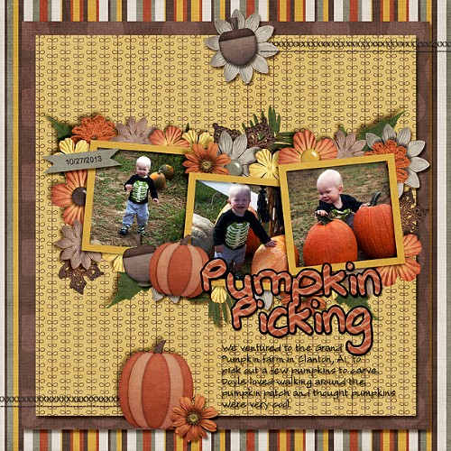 Pumpkin picking