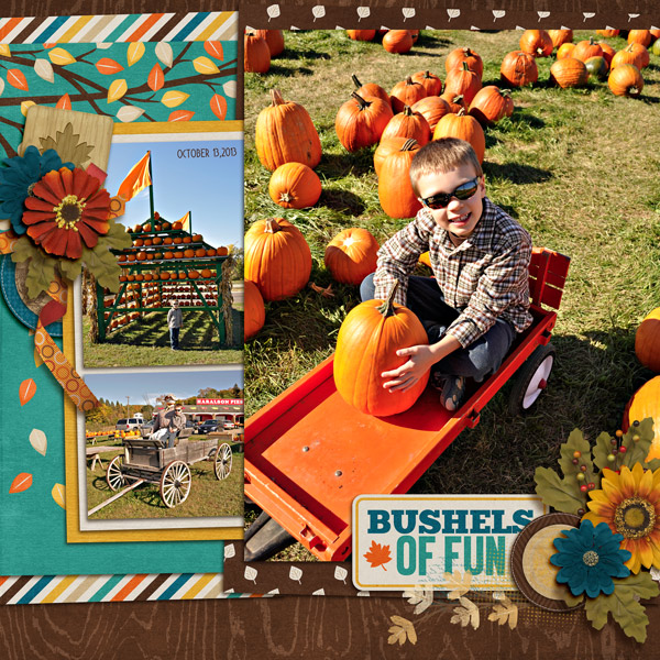 Pumpkin Picking
