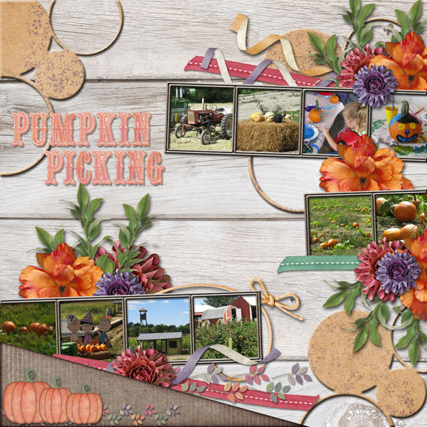 Pumpkin Picking