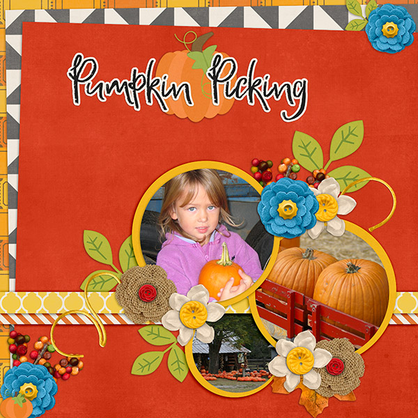 Pumpkin Picking