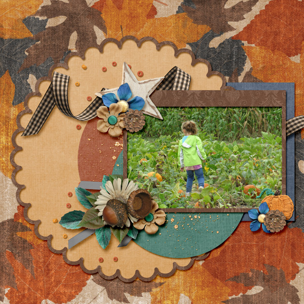 Pumpkin picking