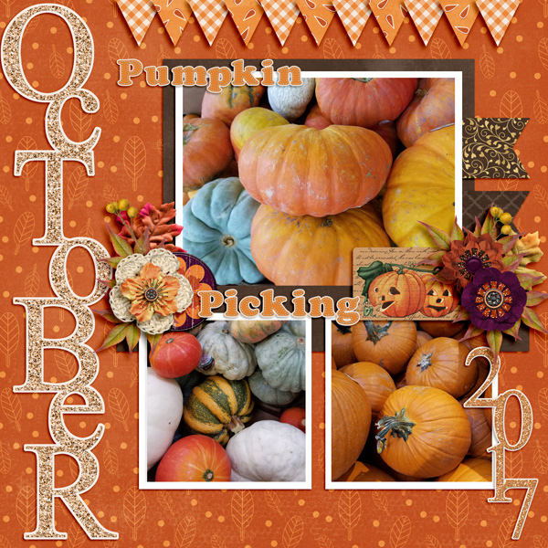 Pumpkin Picking
