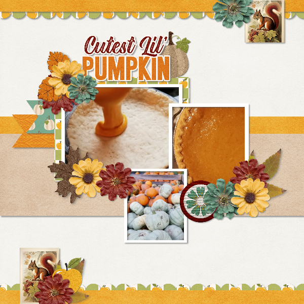 Pumpkin pie