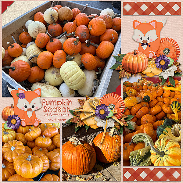 pumpkin season