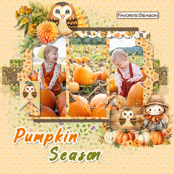 Pumpkin Season