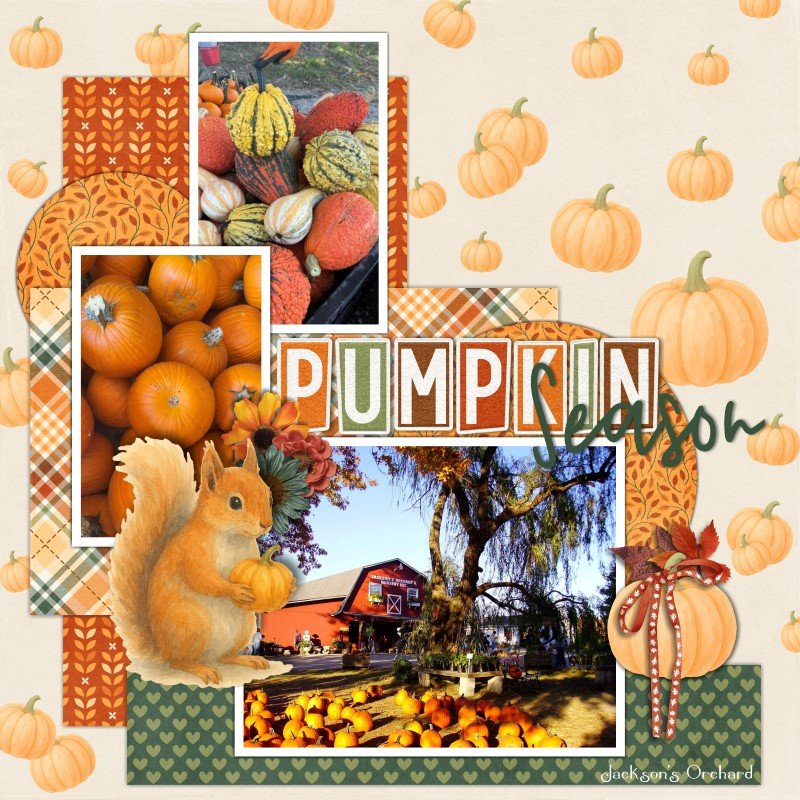 Pumpkin Season