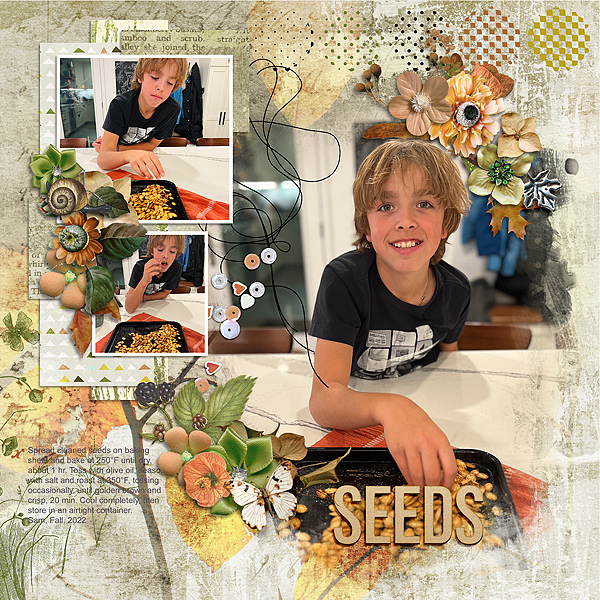 Pumpkin Seeds (Fall 2023)