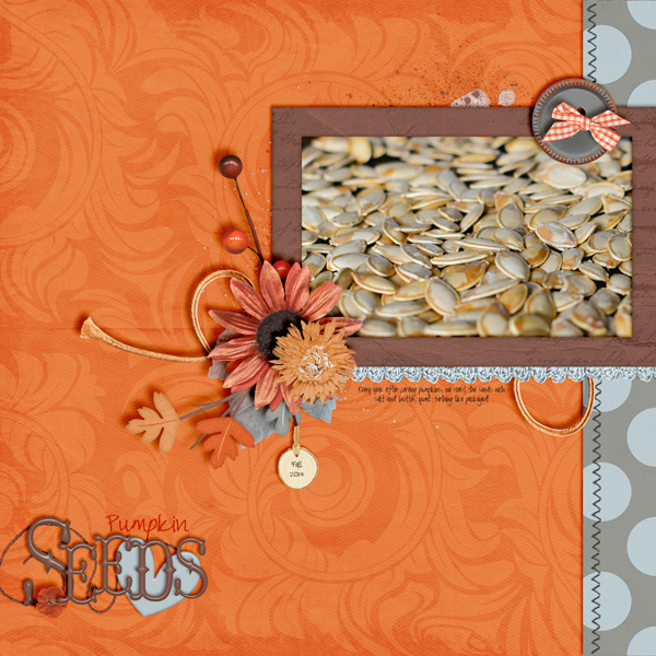 Pumpkin Seeds