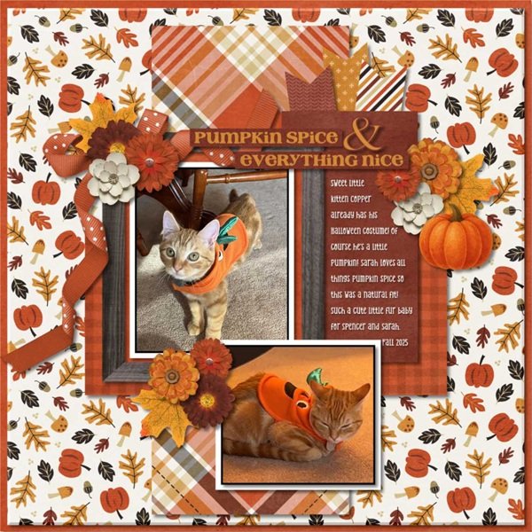 Pumpkin Spice & Everything Nice.jpg