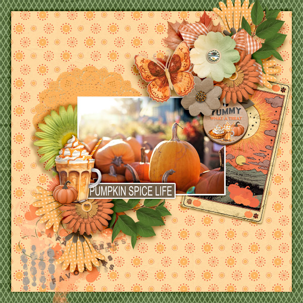 Pumpkin-spice-life