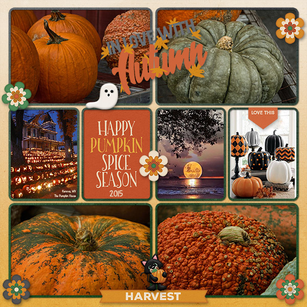 Pumpkin Spice Season