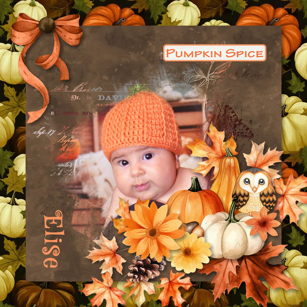 Pumpkin Spice
