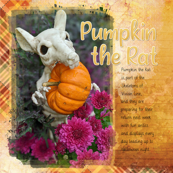 Pumpkin the Rat