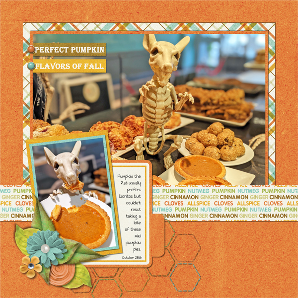 Pumpkin the Rat