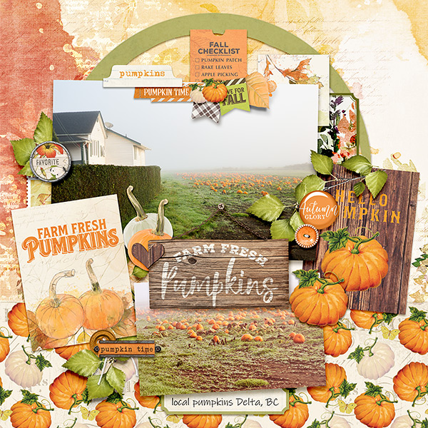 Pumpkin Time
