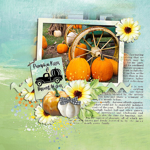 pumpkin wishes