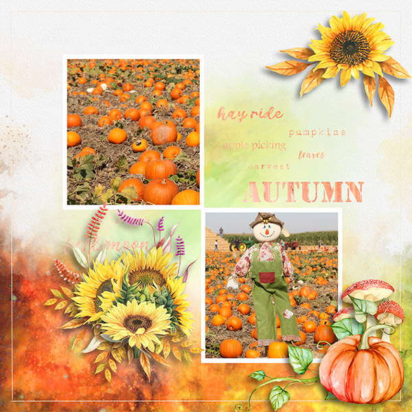 Pumpkin