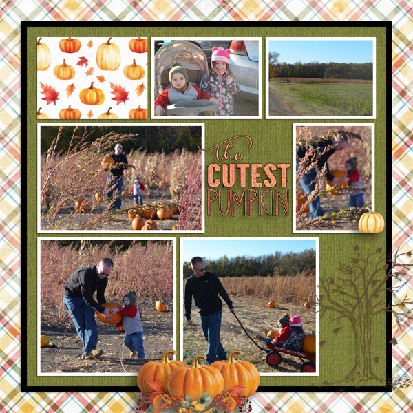 Pumpkin_Patch12