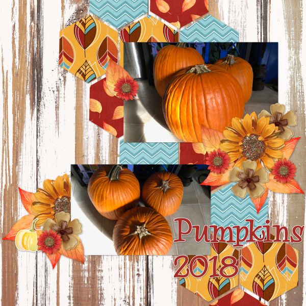 Pumpkins 2018