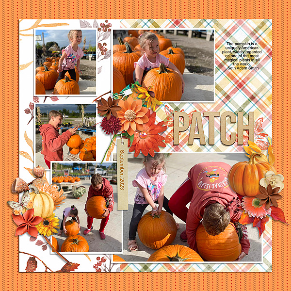 Pumpkins 2023