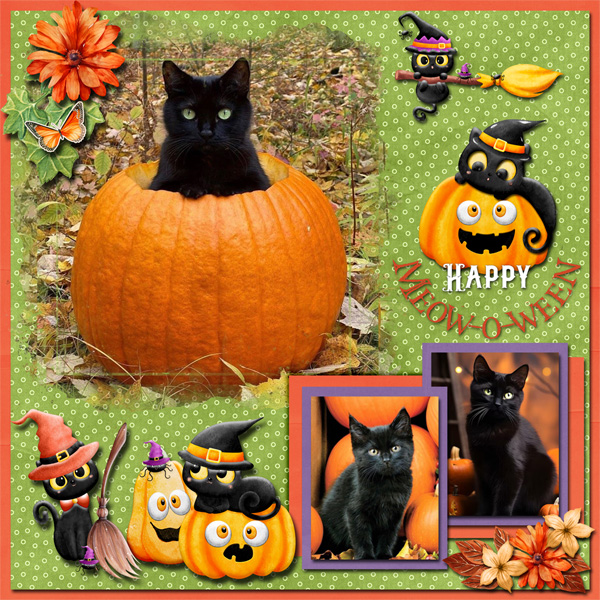 Pumpkins and Black Cats