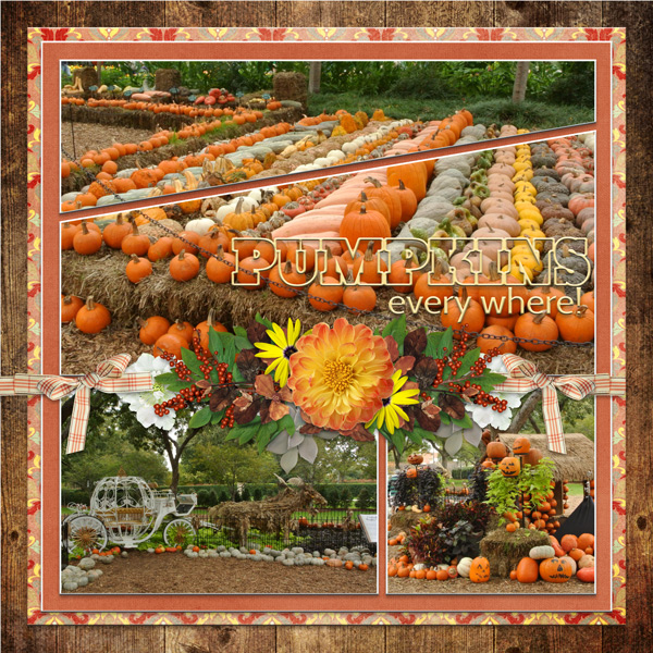 PUMPKINS everywhere!