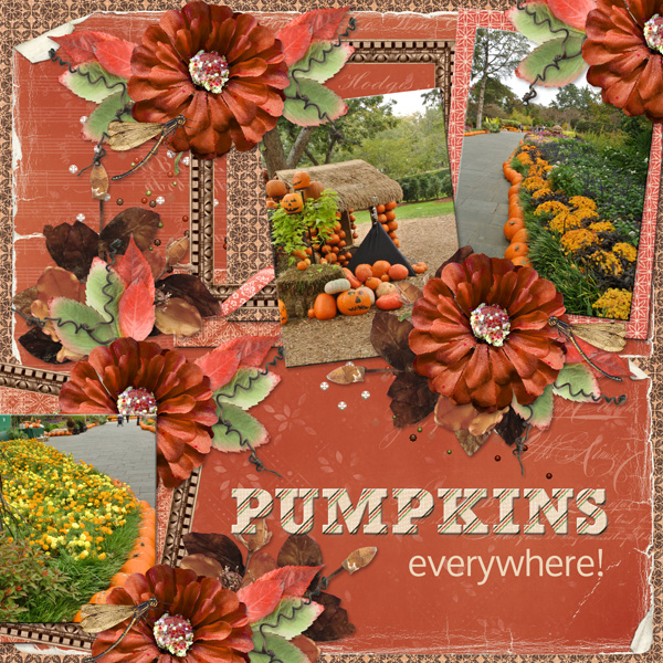 Pumpkins everywhere!