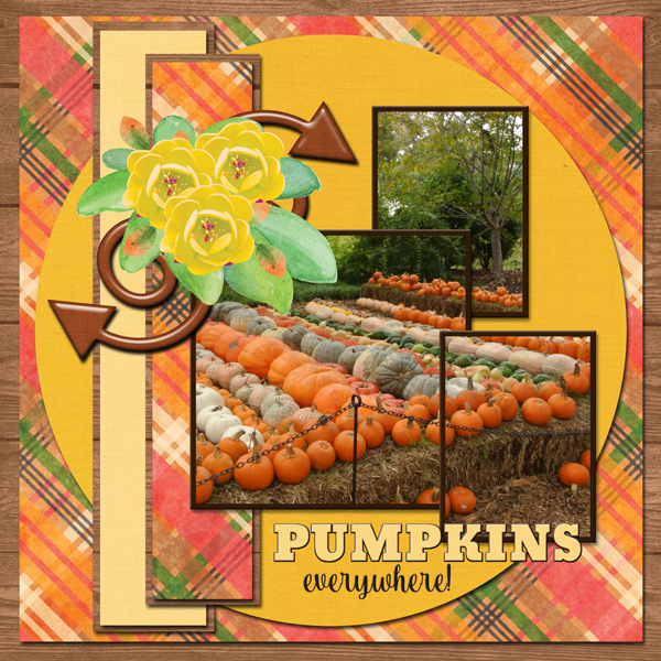 PUMPKINS everywhere!