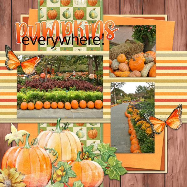 PUMPKINS everywhere!