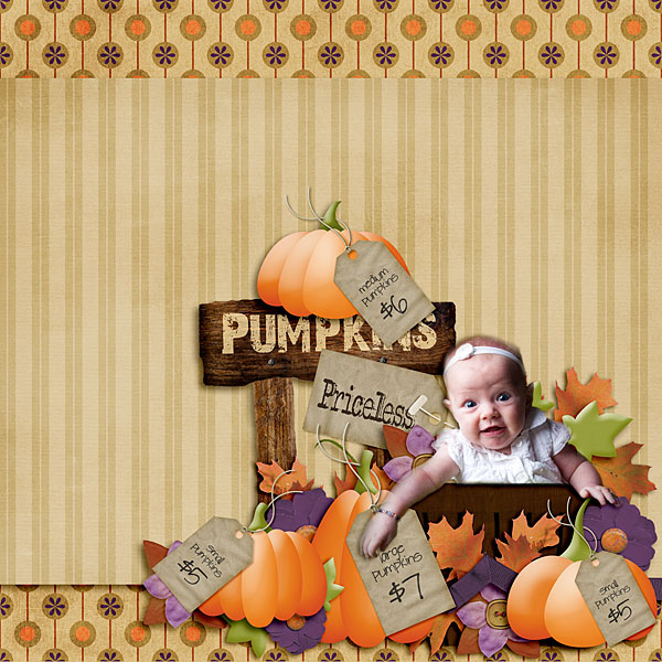 Pumpkins-for-Sale