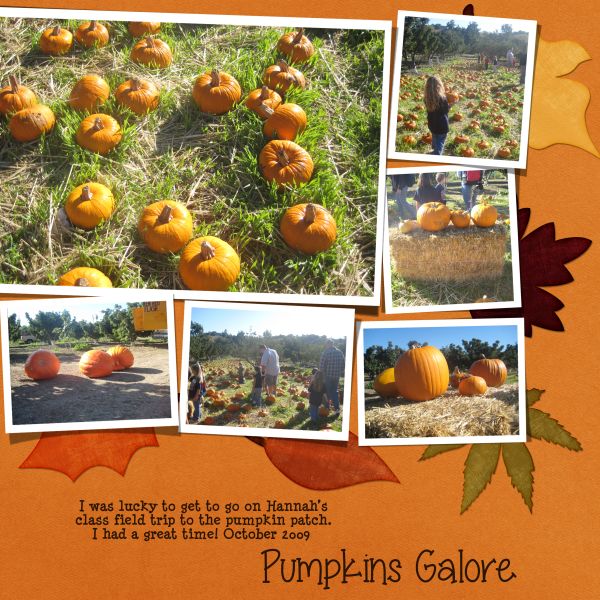 Pumpkins Galore