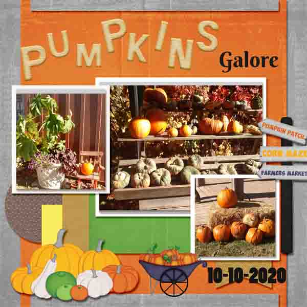 Pumpkins Galore