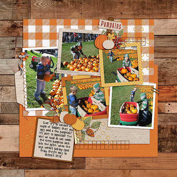 Pumpkins Galore