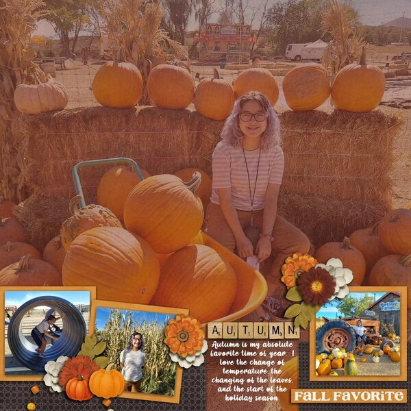 Pumpkins Galore