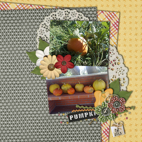 pumpkins