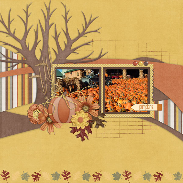 pumpkins