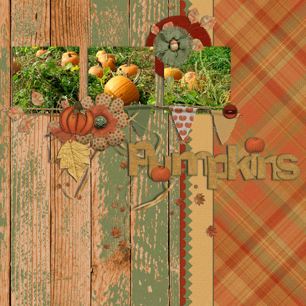 pumpkins