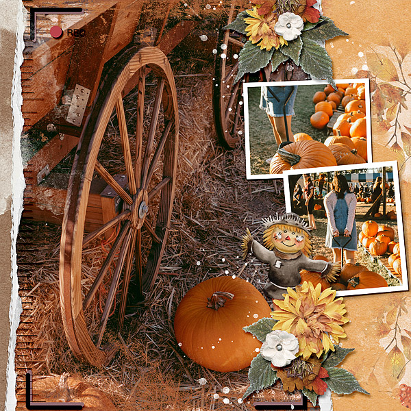 Pumpkins