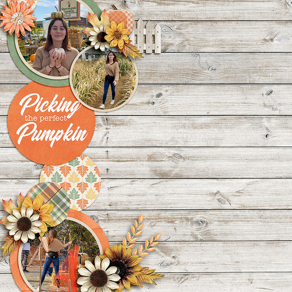 Pumpkins19