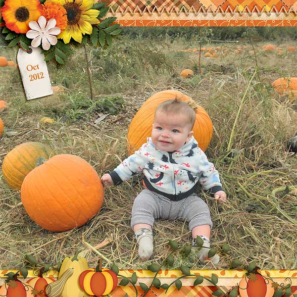 pumpkins20