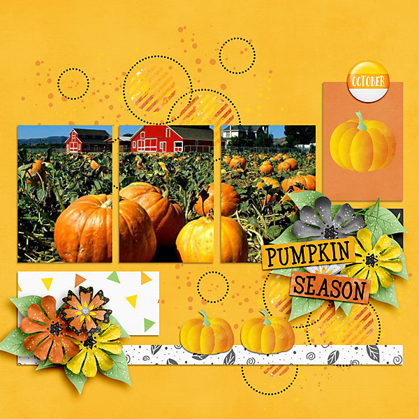 pumpkins2021-copy