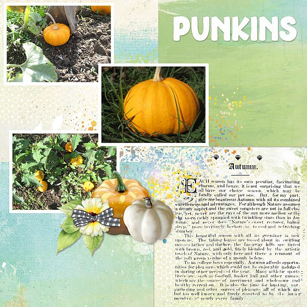Punkins