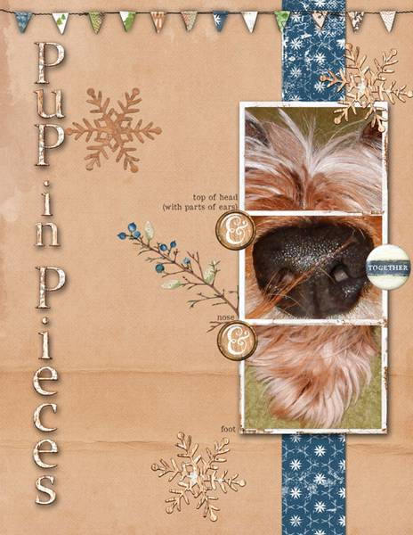 Pup in Pieces