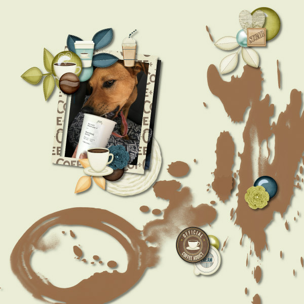 pupachino