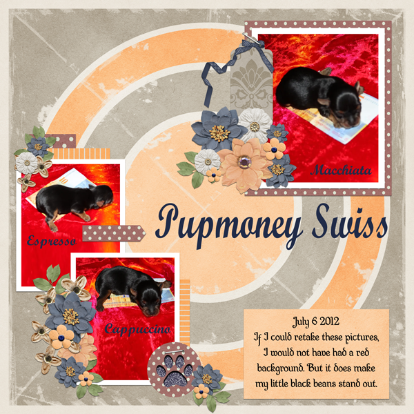 Pupmoney Swiss