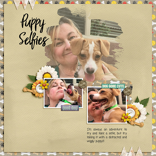 Puppie Selfies
