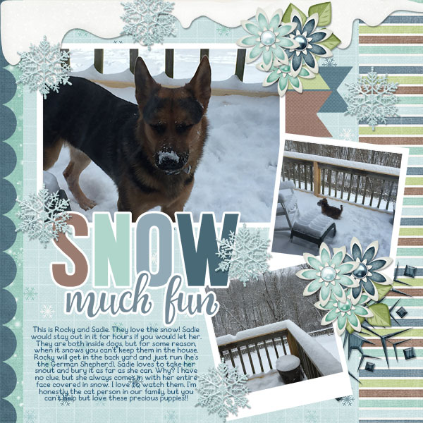 Puppies in the Snow